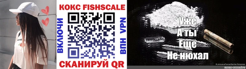 Купить закладки  Ясный  COCAIN Эквадор