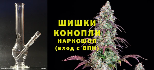 молекула духа Михайлов