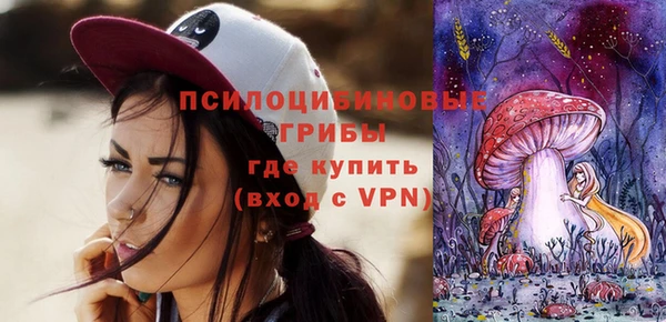 молекула духа Михайлов