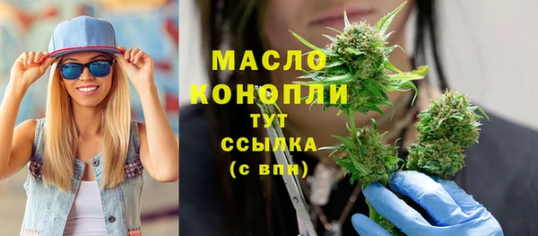 молекула духа Михайлов