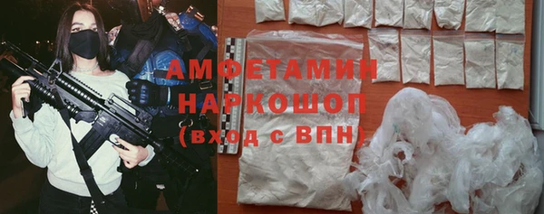 молекула духа Михайлов